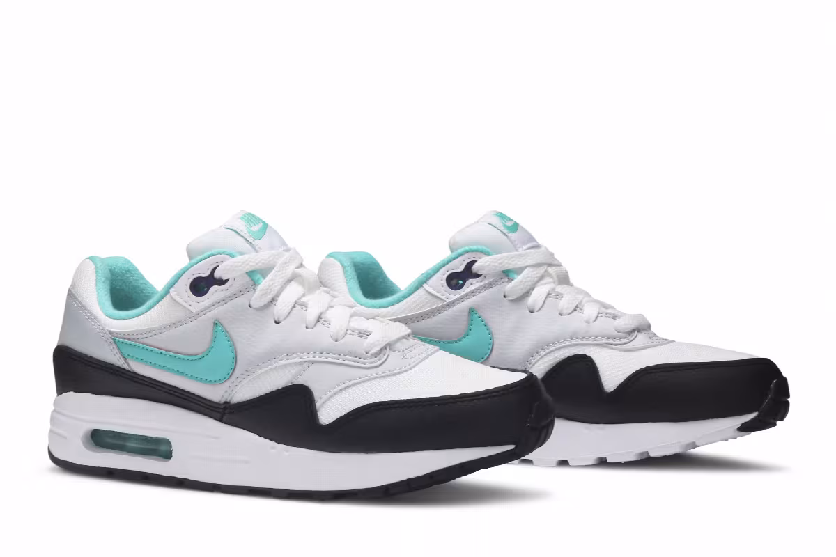 Nike Air Max 1 GS Dusty Cactus, view 9