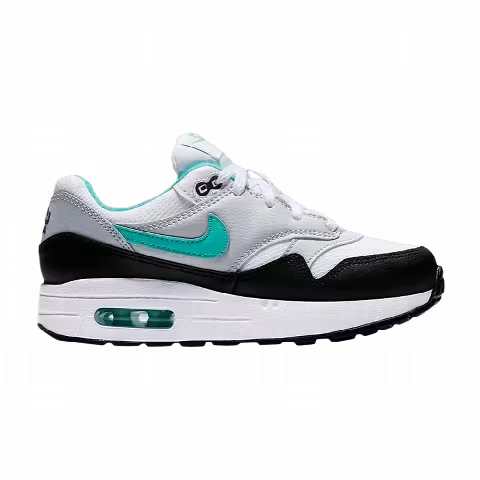 Nike Air Max 1 PS 'Dusty Cactus'
