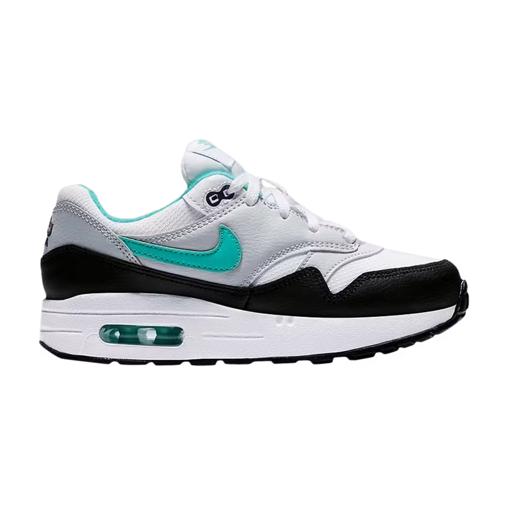 Nike Air Max 1 PS Dusty Cactus