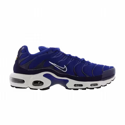 Nike Air Max Plus TN 'Indigo Force'