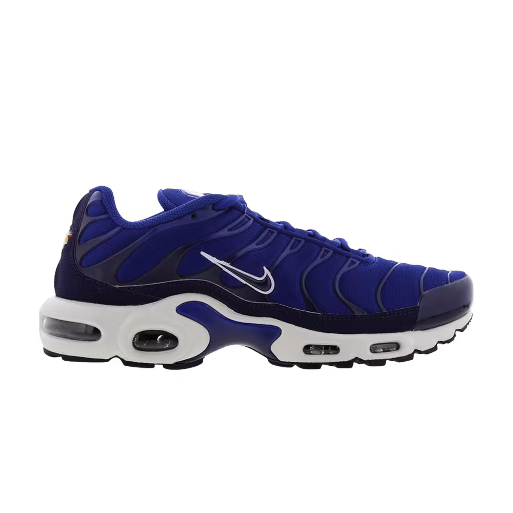 Nike Air Max Plus TN Indigo Force