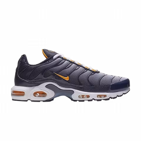 Nike Air Max Plus 'Navy Mist'