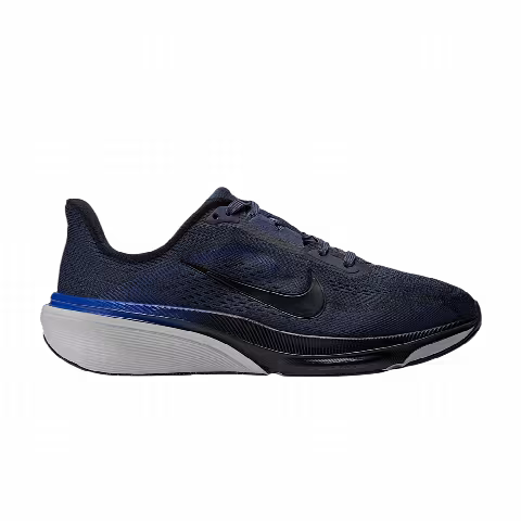 Nike Pegasus 42 Road GS 'Dark Slate Grey Mist Racer Blue Black'