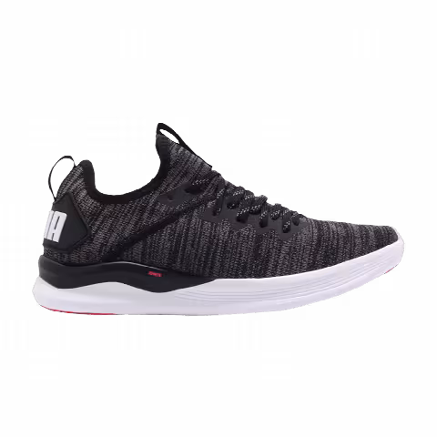 Puma Wmns Ignite Flash EvoKnit 'Black'