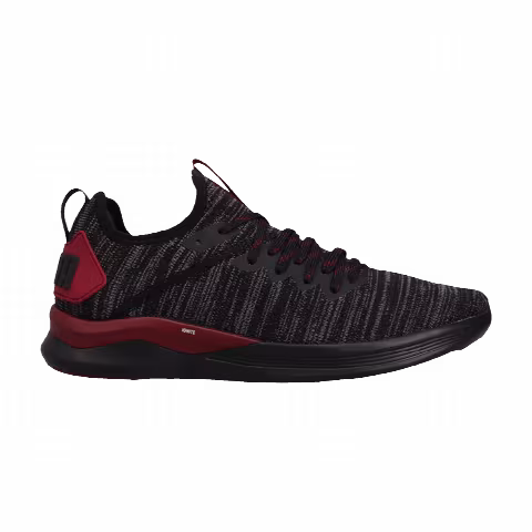 Puma Ignite Flash EvoKNIT 'Black'