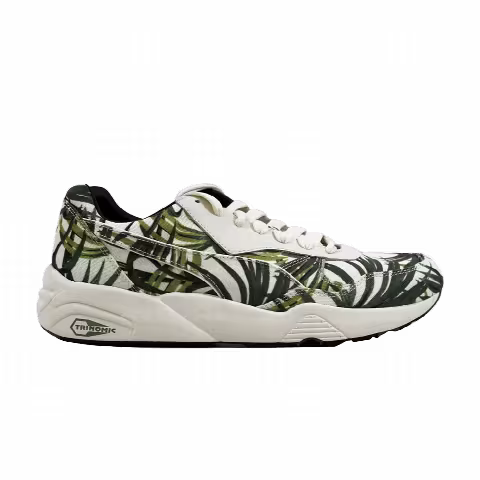 HOH x Puma R698 Wvo 'Palm'