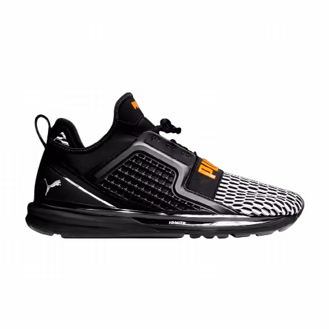 Puma Ignite Limitless Colorblock