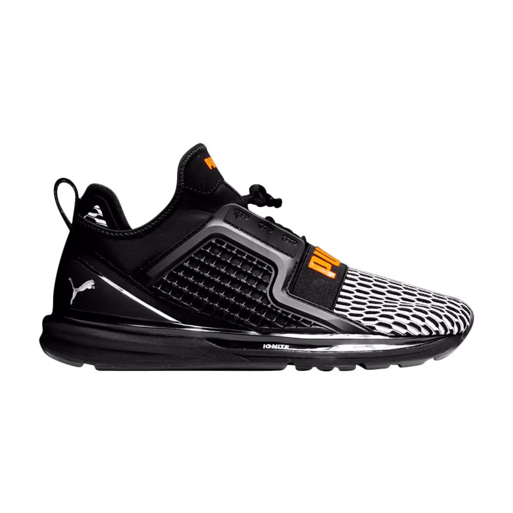 Puma Ignite Limitless Colorblock