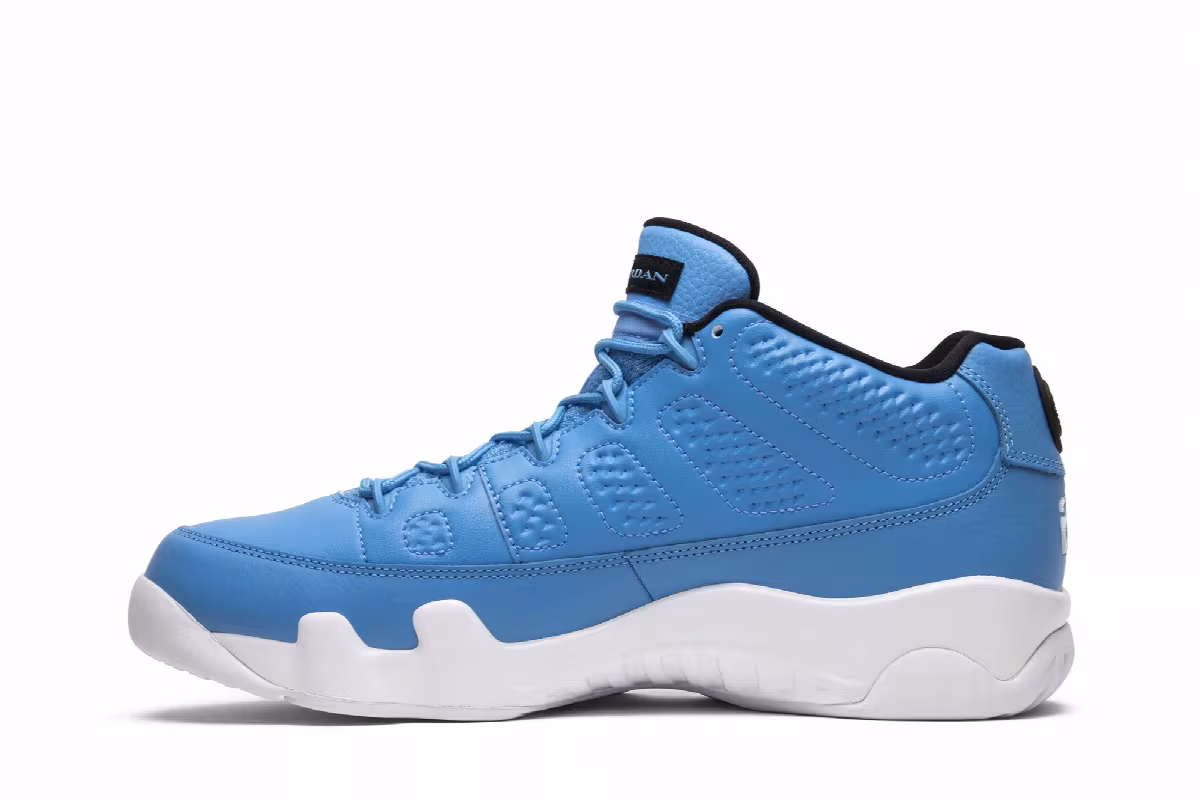 Air Jordan 9 Low Pantone, view 4