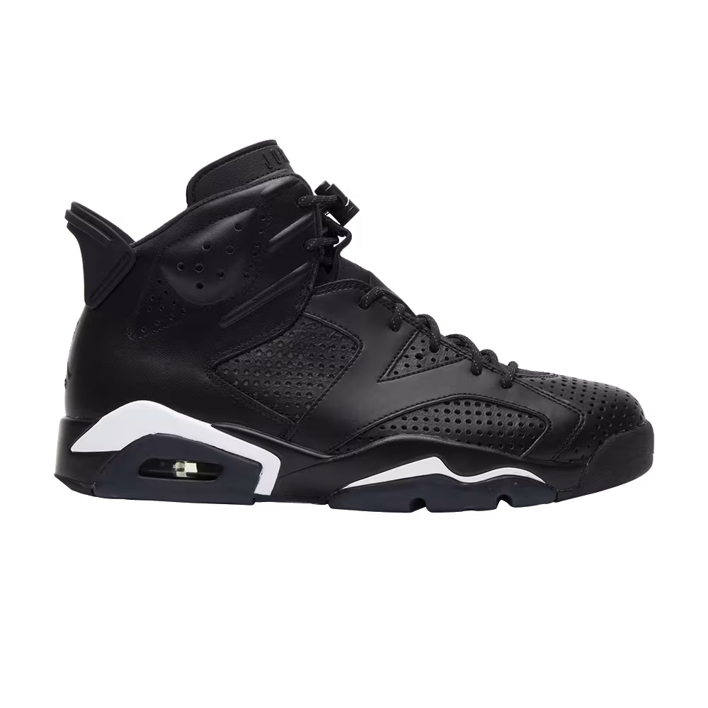 Air Jordan 6 Black Cat