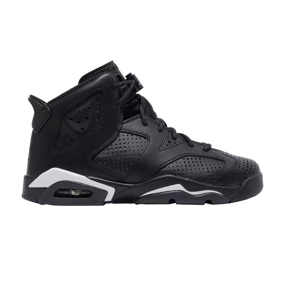 Air Jordan 6 GS Black Cat