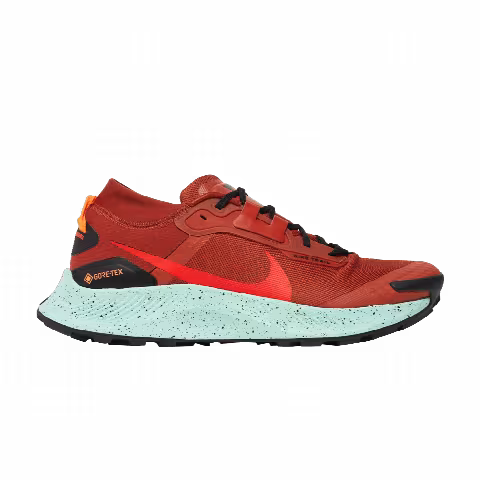 Nike Pegasus Trail 3 GTX 'Rugged Orange'