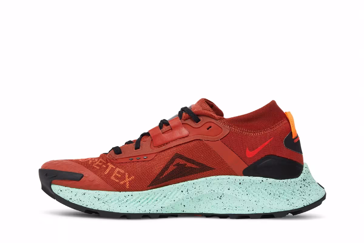 Nike Pegasus Trail 3 GTX Rugged Orange, view 4