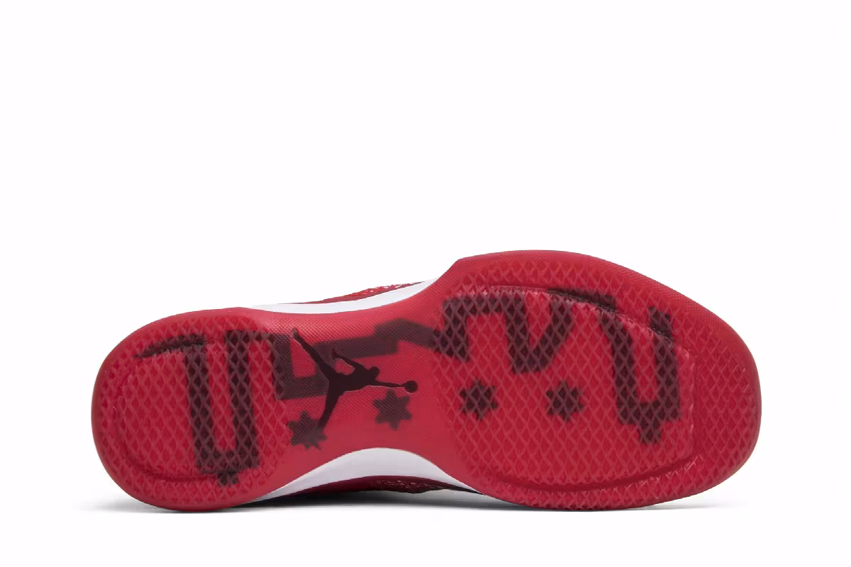 Air Jordan 31 chicago, view 5
