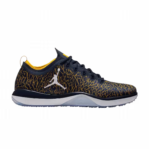 Air Jordan Trainer 1 Low 'Michigan'