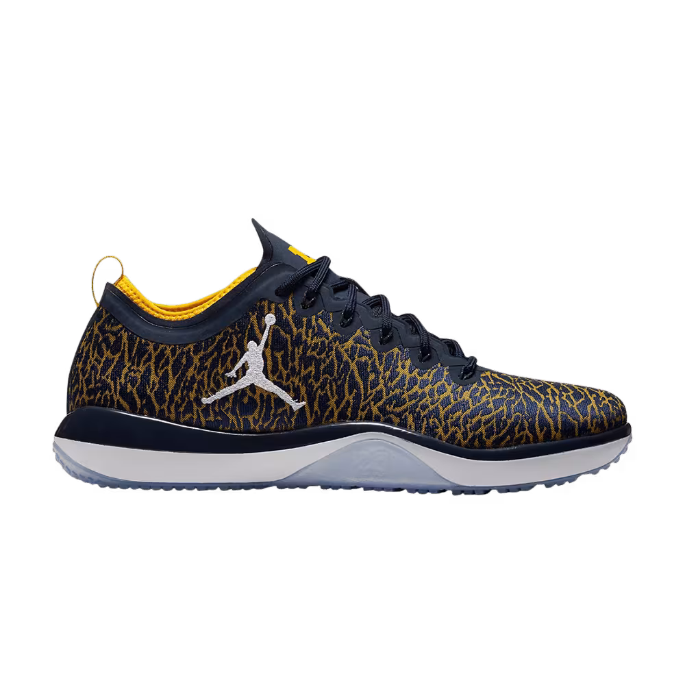 Air Jordan Trainer 1 Low Michigan