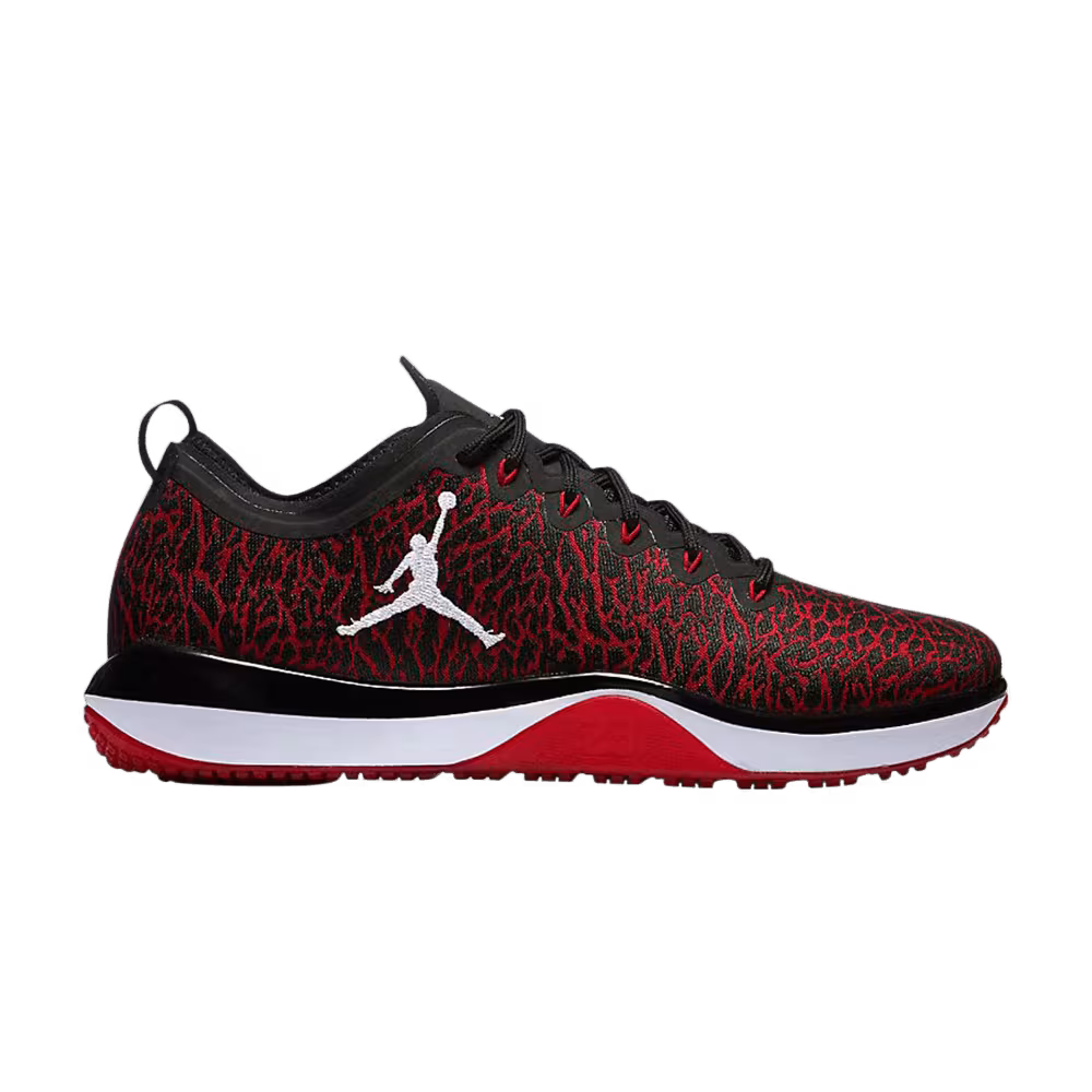 Air Jordan Trainer 1 Banned