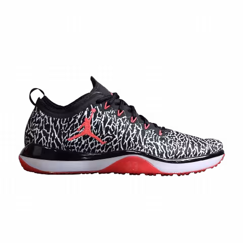 Air Jordan Trainer 1 Low 'Elephant Infrared'