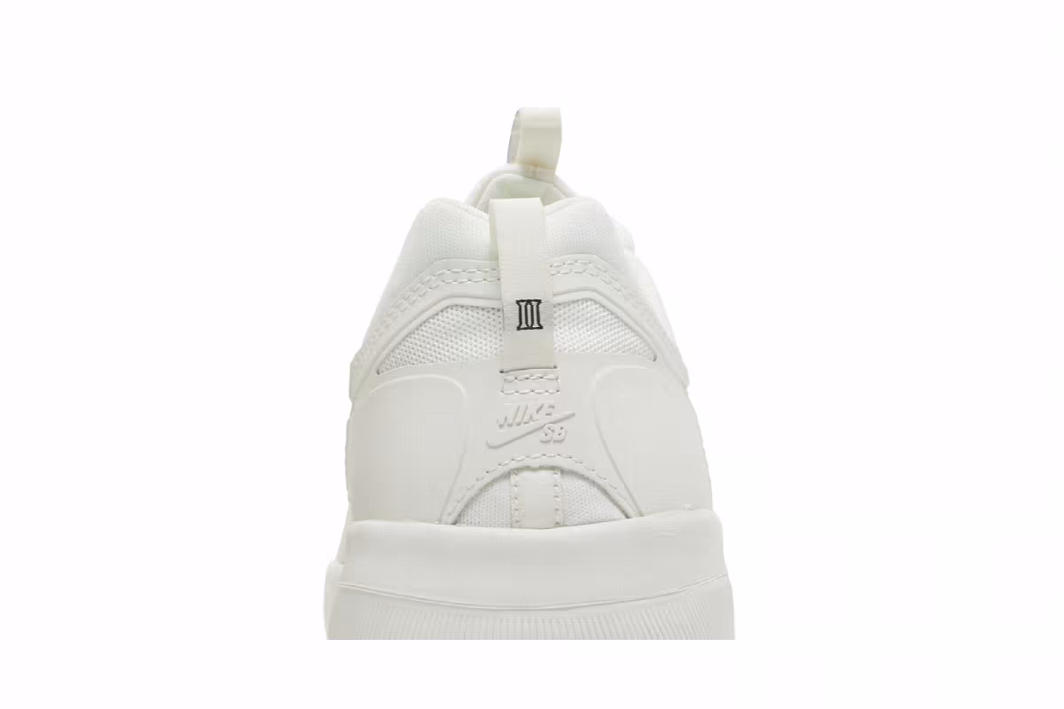 Nike Nyjah Free 2 SB Triple White, view 8