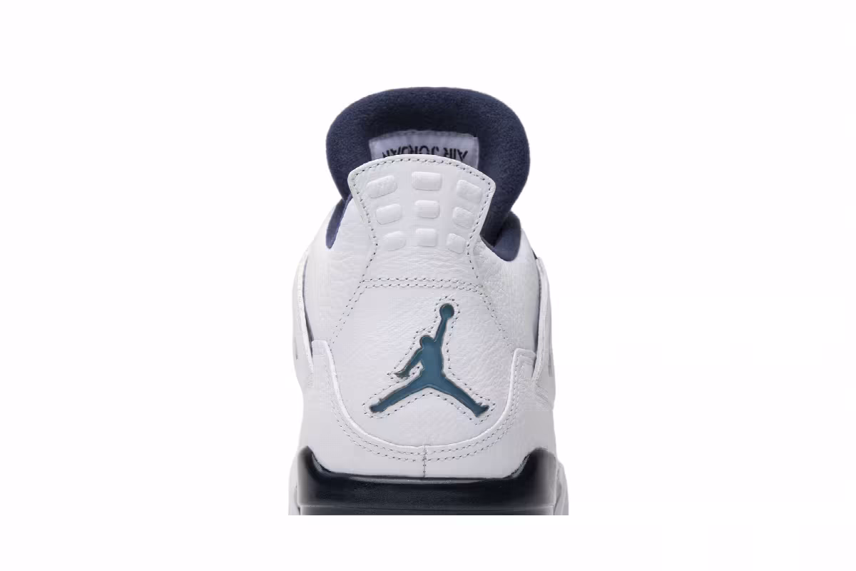 Air Jordan 4 LS Columbia, view 8