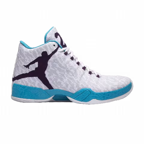 Air Jordan 29 'Feng Shui'