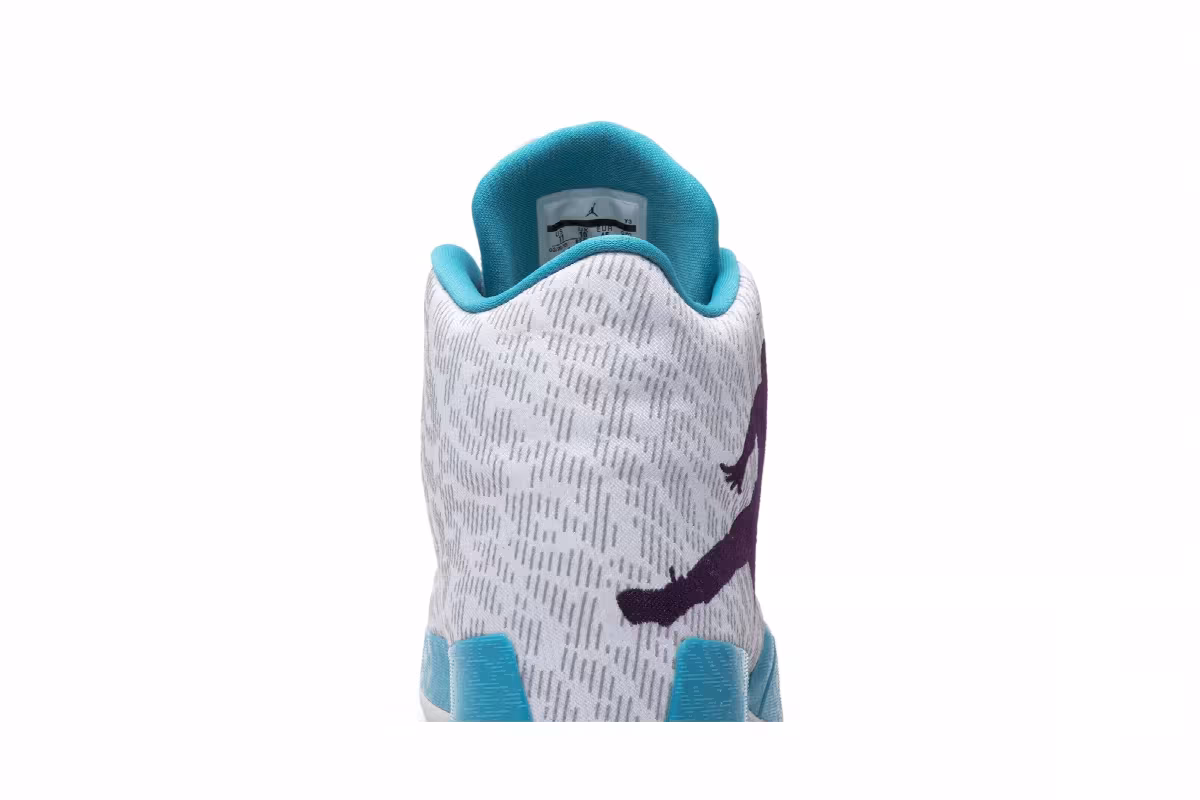 Air Jordan 29 Feng Shui, view 8