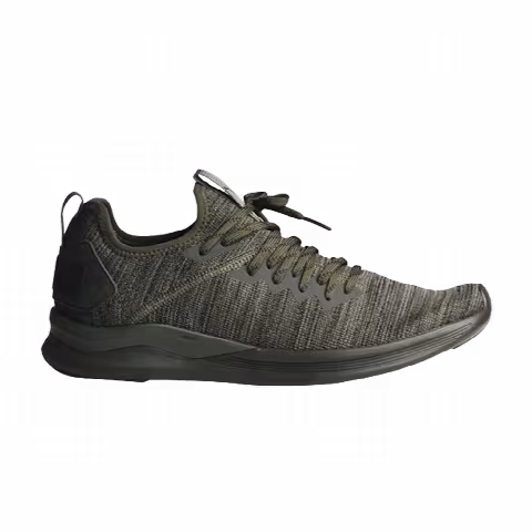 Puma Ignite Flash evoKnit 'Forest Night'
