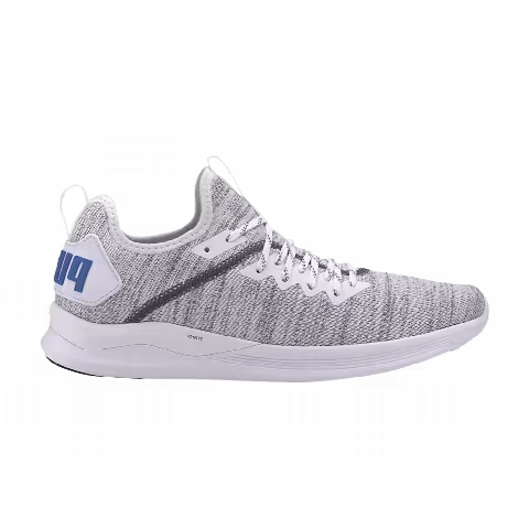 Puma Ignite Flash EvoKNIT 'White Castlerock'