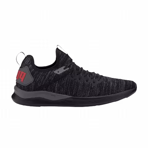 Puma Ignite Flash EvoKNIT 'Black Castlerock'