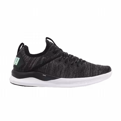 Puma Wmns Ignite Flash EvoKnit 'Fair Aqua'