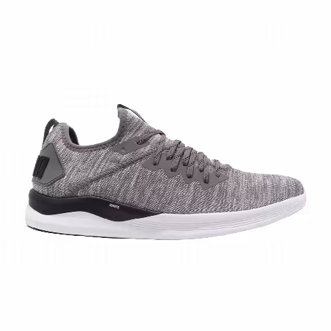Puma Ignite Flash EvoKnit 'Steel Gray'
