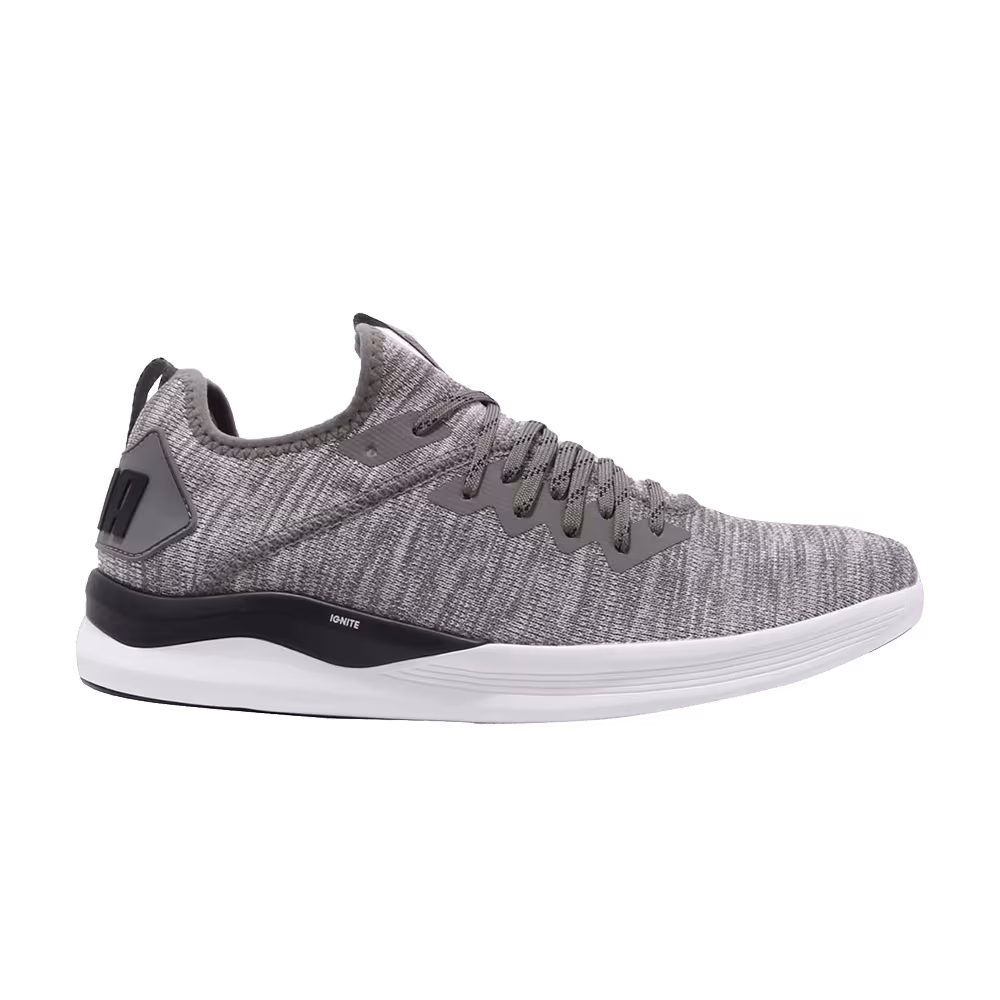 Puma Ignite Flash EvoKnit Steel Gray