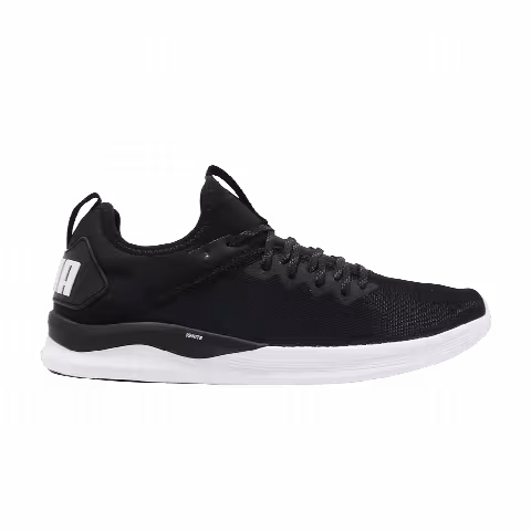 Puma Ignite Flash Mesh 'Asphalt'