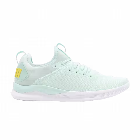 Puma Wmns Ignite Flash EvoKnit SR 'Faie Aqua'