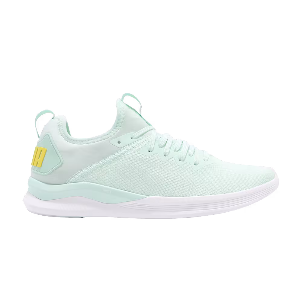 Puma Women's Ignite Flash EvoKnit SR Faie Aqua
