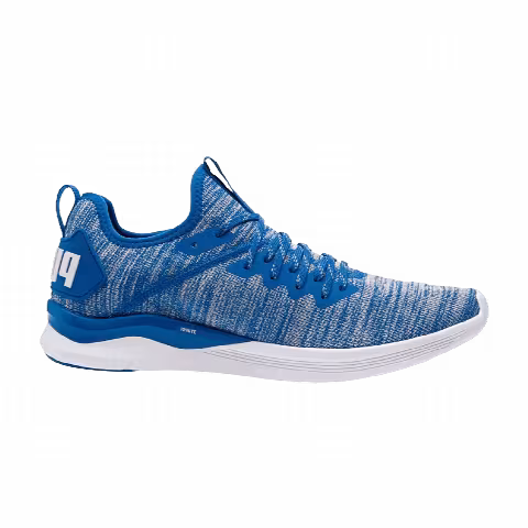 Puma Ignite Flash EvoKnit 'Island Paradise'