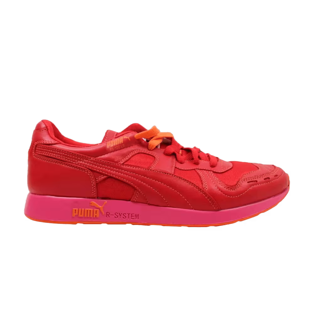 Puma RS-100 Prismatron Pack 2
