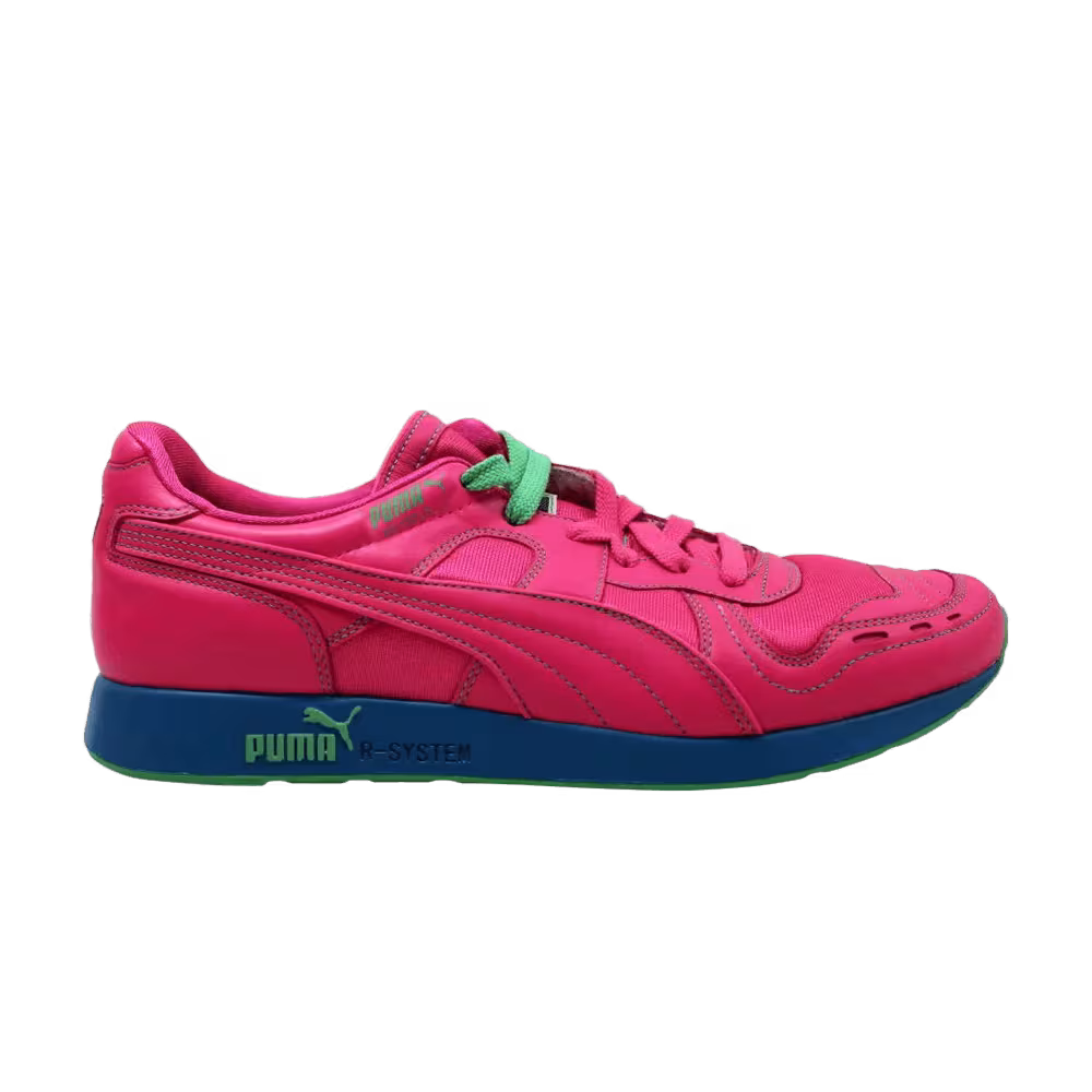 Puma RS-100 Prismatron Pack 2