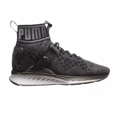 Puma Ignite evoKnit 'Asphalt Quiet Shade'