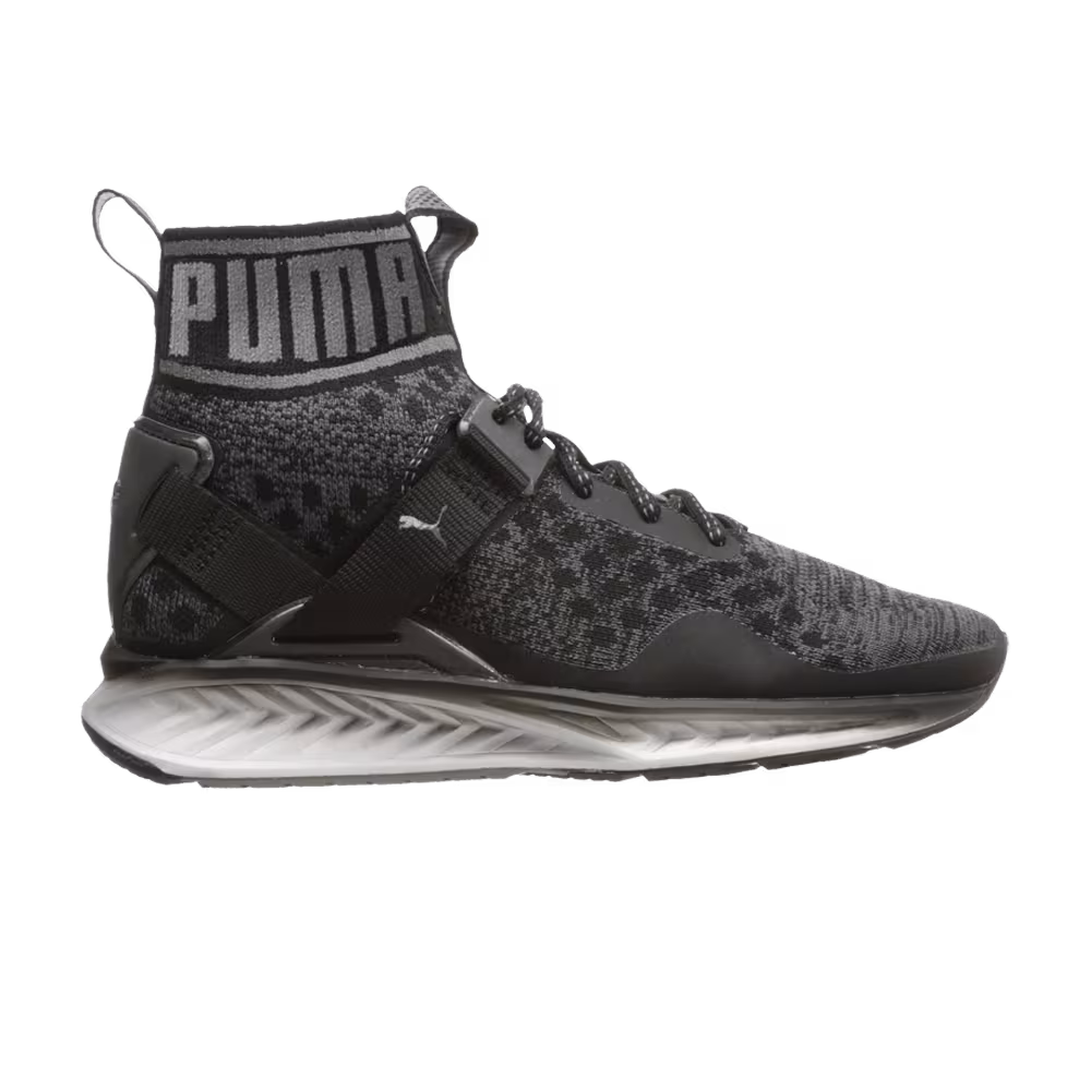 Puma Ignite evoKnit Asphalt Quiet Shade