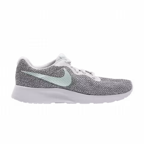 Nike Wmns Tanjun 'Oil Grey Igloo'