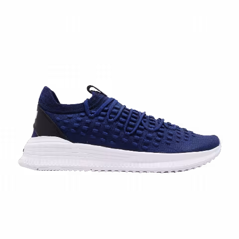 Puma AVID Fusefit 'Sodalite Blue'