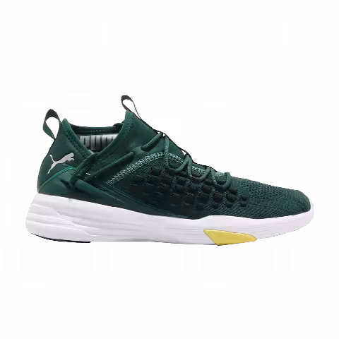Puma Mantra 'Ponderosa Pine'
