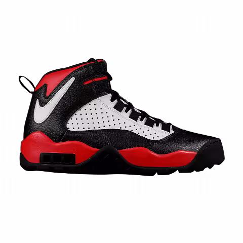 Nike Air Darwin 'Bulls'
