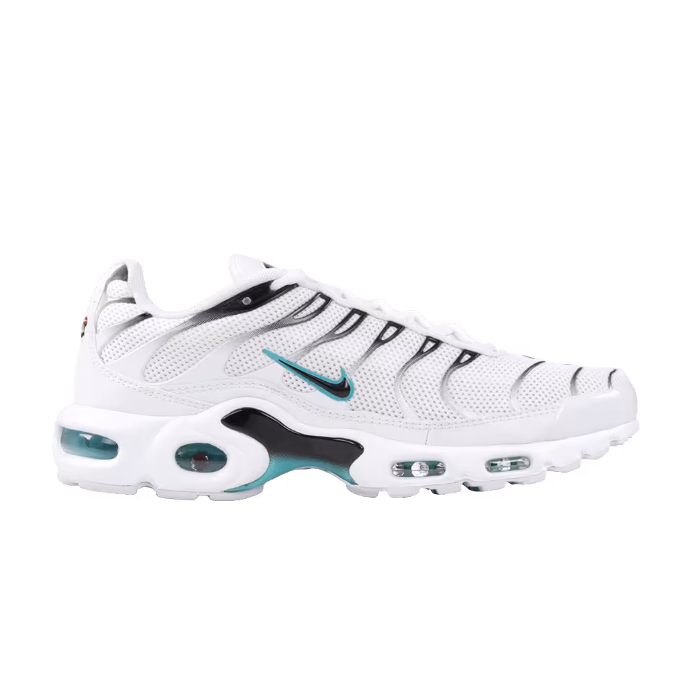 Nike Air Max Plus Dusty Cactus