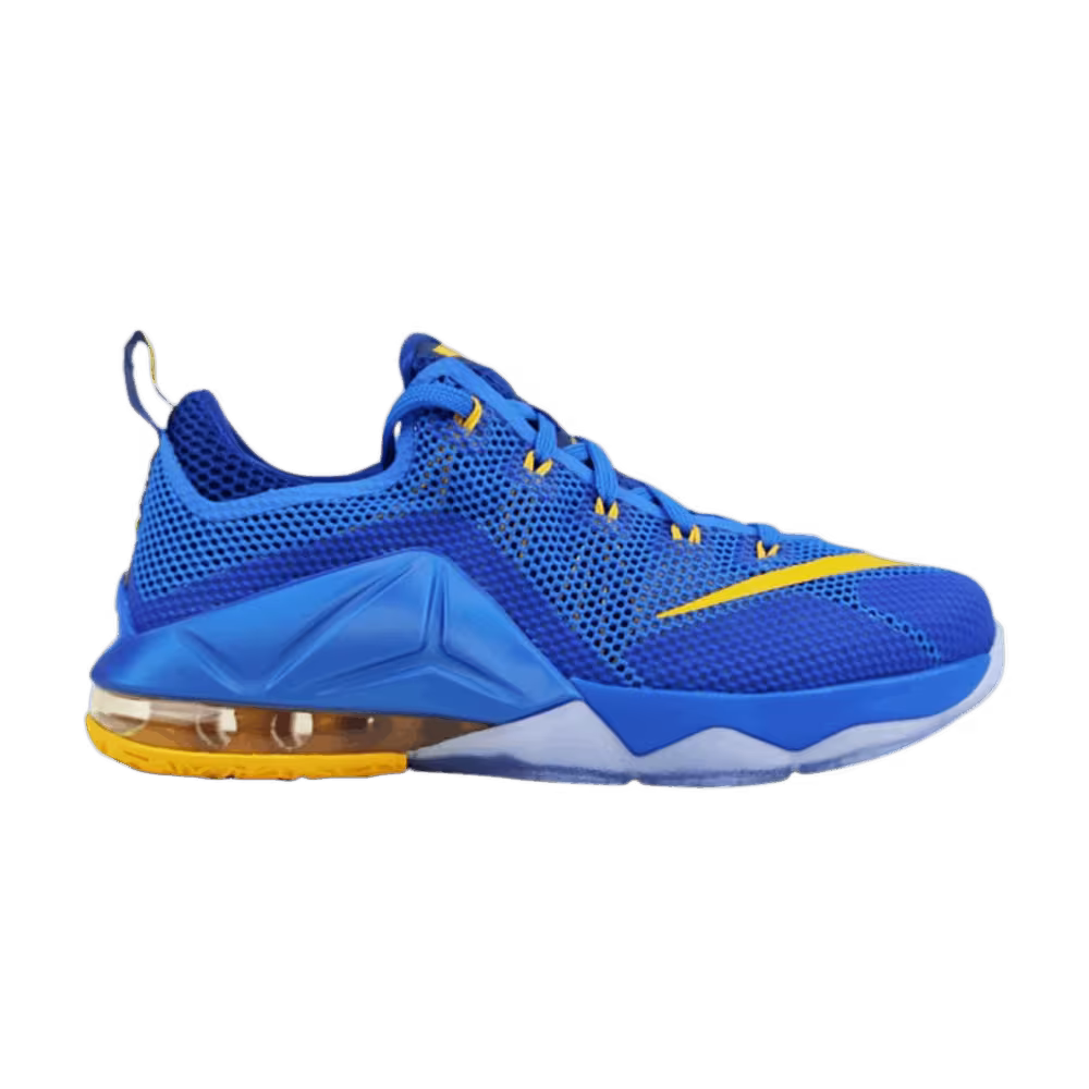 Nike LeBron 12 Low GS Entourage