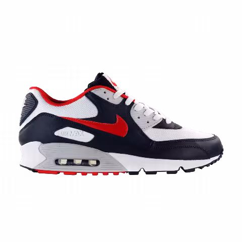 Nike Air Max 90 'USA 2010'