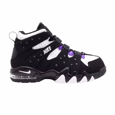 Nike Air Max 2 CB 94 PS 'Black Purple' 2010