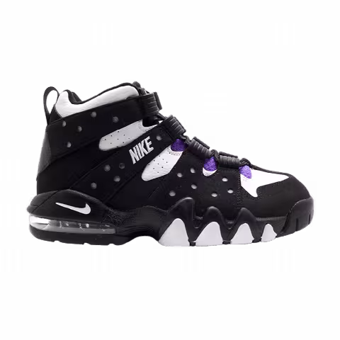 Nike Air Max 2 CB 94 GS 'Black Purple' 2010