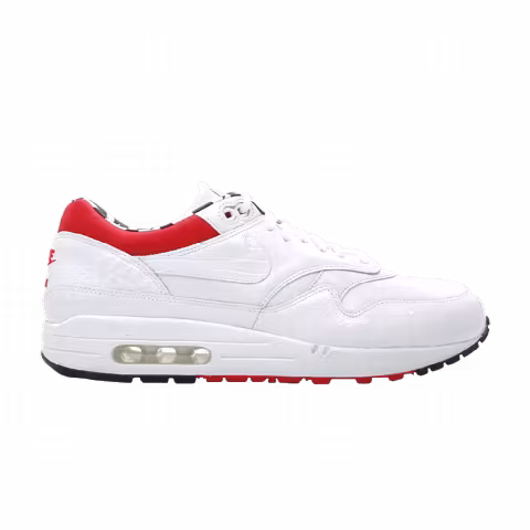 Nike Air Max 1 Premium SP 'Euro Champs - Crocodile'